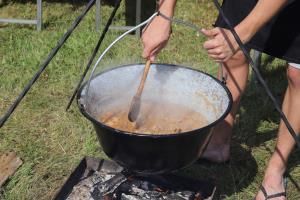 Kovačeva domačija in proslava ob dnevu državnosti 2018 3